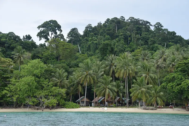 Palm trees and beach bungalows behind the sand on Ko Kradan, Trang